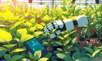 ロボットグリッパーが植物健康管理を革新　柔軟注入技術とリアルタイム環境監視