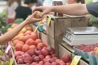 為何消費者偏愛大品牌?探索背後的心理與市場趨勢