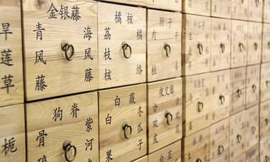 看中醫調身體：解析當代熱門的中醫養生法