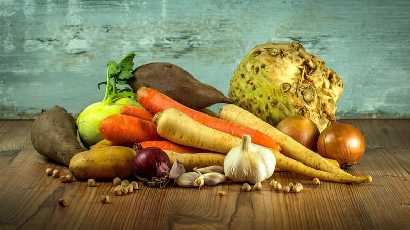 tcm-body-constitution-nutrition-health