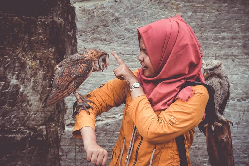 decode-consumer-trust-brand-impact