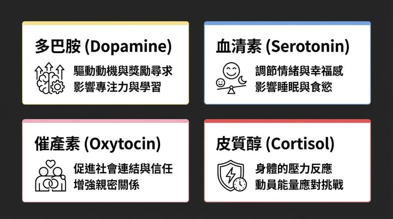 圖 2（Infocard）：四種「合成荷爾蒙」在框架裡各自扮演什麼角色