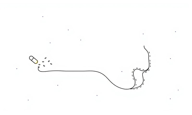 益生菌是幫手，但不能取代健康的生活習慣