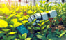 ロボットグリッパーが植物健康管理を革新　柔軟注入技術とリアルタイム環境監視