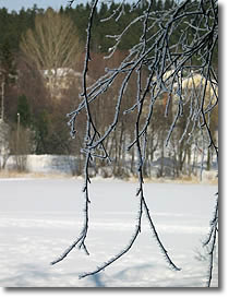 Kuva: Kari Salmela